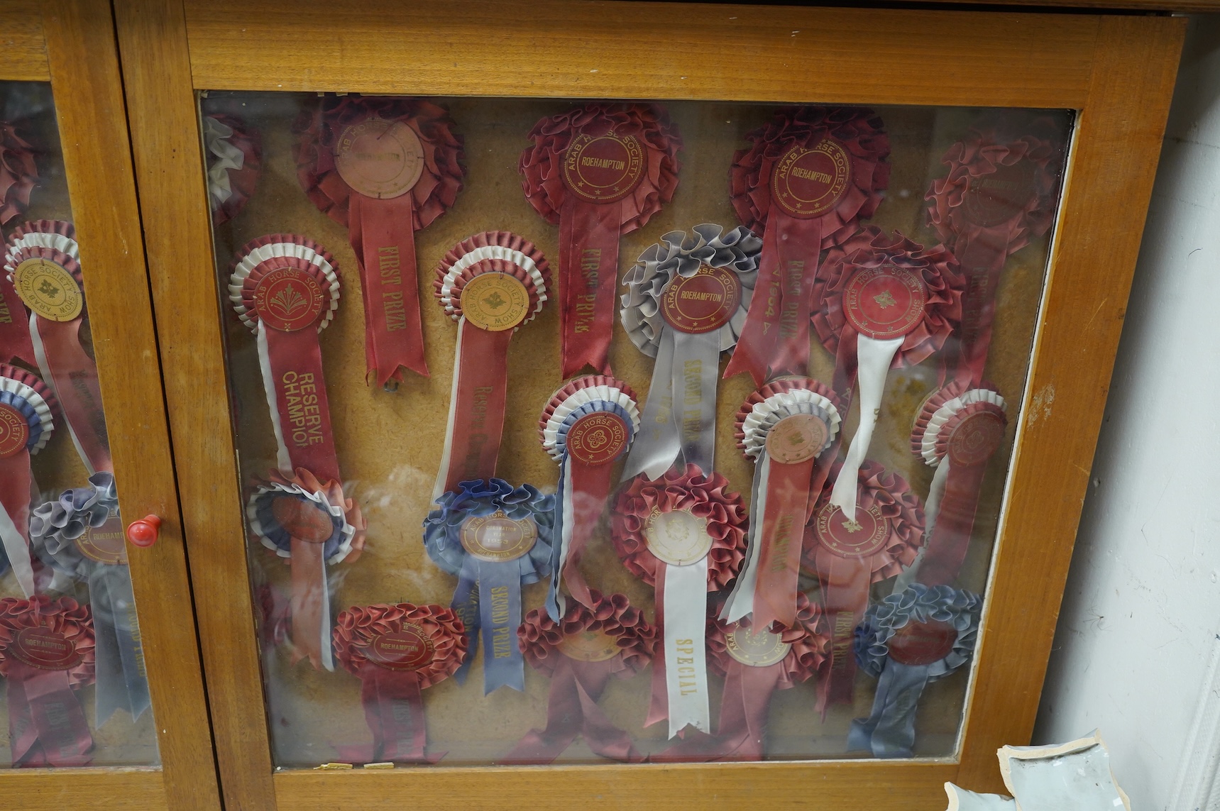 A light oak glazed two door wall cabinet, mounted with 39 Arab Horse Society rosettes, as won by horses from the Court House Farm Stud, Offham, Sussex, the cabinet 61 x 130cms